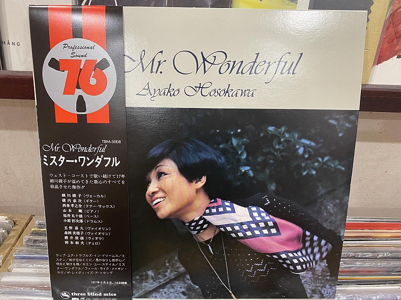 Ayako Hosokawa Mr wonderful